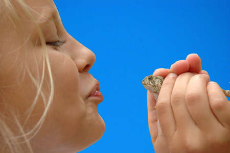 Young Girl Prepares to Kiss Toad for Prince Charmingの写真素材