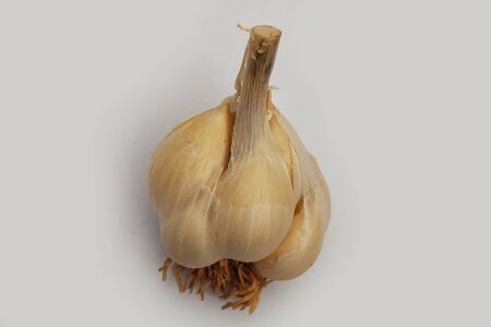 fresh Garlic cloveの写真素材