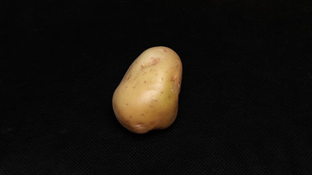 Potatoes on a black background. Potatoes on a black background.の写真素材