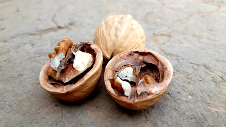 Walnuts in shell on a wooden background. Close-up.の写真素材