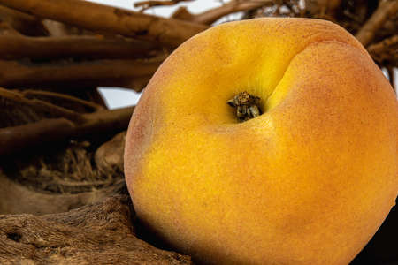 Fresh Peach, isolated on wood logs, nobody, shot under studio lights, detailed texture of body,...