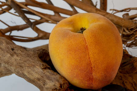 Fresh Peach, isolated on wood logs, nobody, shot under studio lights, detailed texture of body, colorful & bright.の写真素材