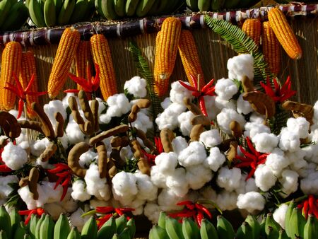 Agricultural products in Thailandの写真素材