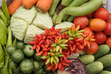 Collection of vegetables / green, yellow, orange, redの写真素材