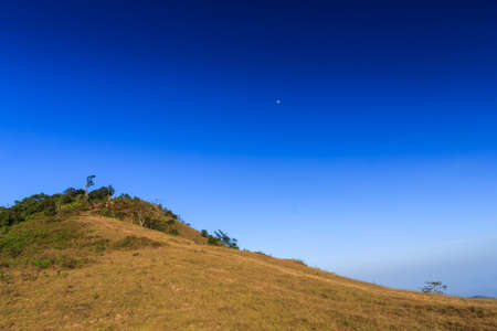 nature landscape with woods and mountains, point view on mountains