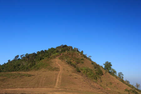 nature landscape with woods and mountains, point view on mountainsの写真素材