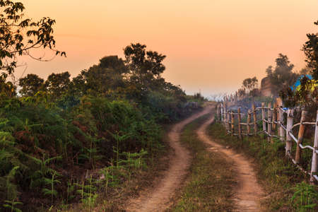 nature landscape with woods and mountains, point view on mountainsの写真素材