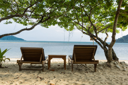 sun loungeres and tree against blue sea at sun dayの写真素材