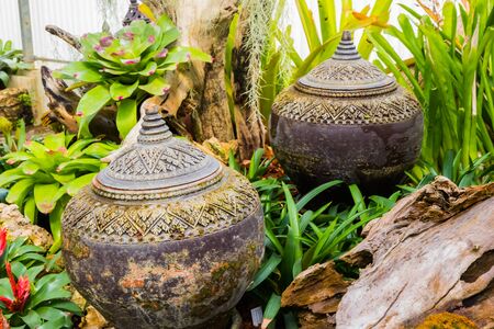 A day in a green house with garden plantの写真素材