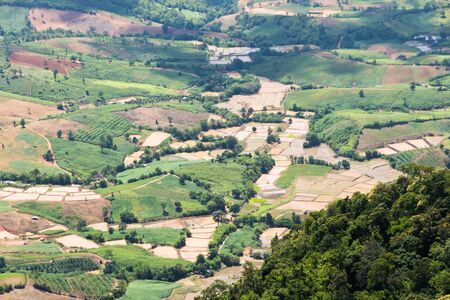 Aerial view of rice farm on hills countryside in Loei, Thailand.の写真素材
