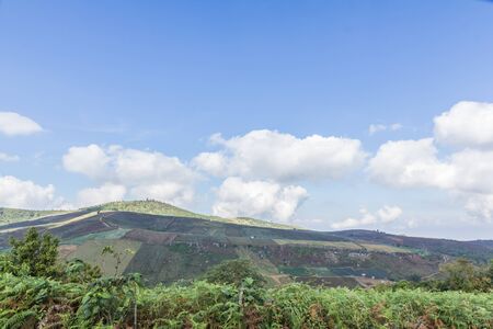 agriculture in a deforested landscape on a hillの写真素材