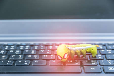 Computer security breach due to worm attack. green worm on keyboardの写真素材