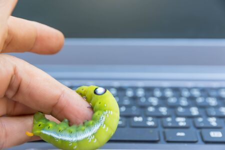computer security breach due to worm attack. green  worm on keyboardの写真素材