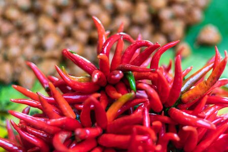 Bunches of fresh organic red and green hot chili peppers for sale at a farmers market.の写真素材