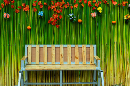 Wooden chair against a background made of natural green leaves.の写真素材