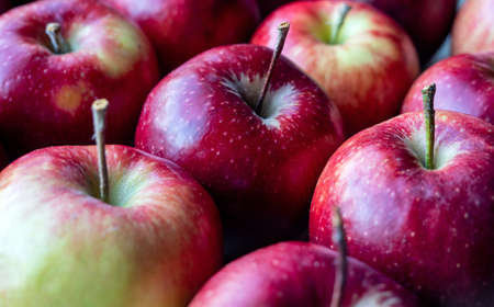 Beautiful, ripe and tasty apples, close-upの写真素材