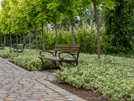 fragment of the park, park and garden decorations, recreation places, a park benchの写真素材