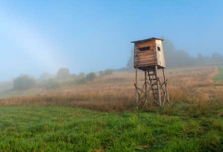 Box stand in a hedge at a meadowの写真素材