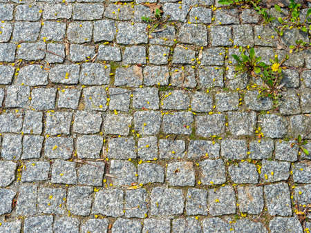 Granite paving stones with fragments of withering plants and yellow flowers in the upper corner