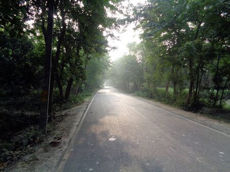 Black highway road going through forestの写真素材