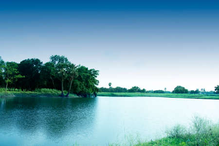 Forest surrounded by lake and dramatic sky viewの写真素材