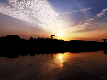 River side forest, dramatic sky and sunsetsの写真素材