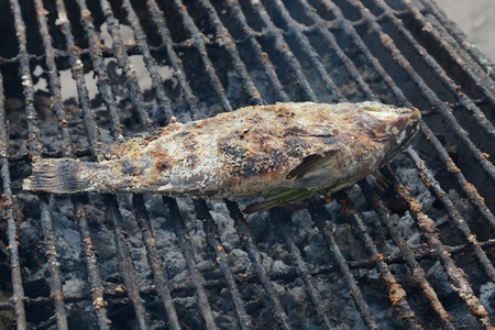 Fish burnedの写真素材