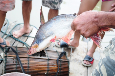 Fishing with traps.の写真素材