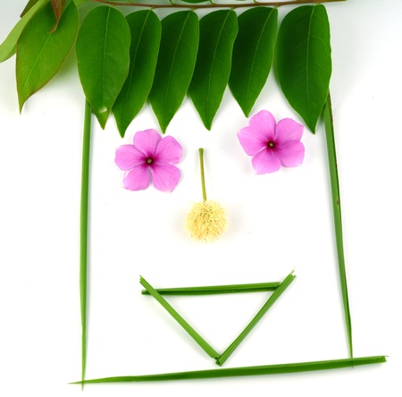 leaf idea smile isolated on white background の写真素材