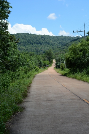 empty road in jungle of thailandの写真素材
