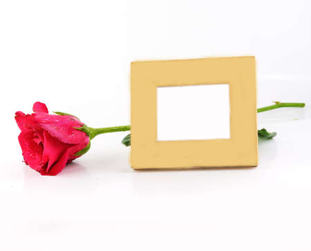 photo frame and flowersの写真素材