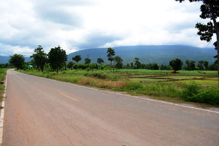 empty road in jungle of thailandの写真素材