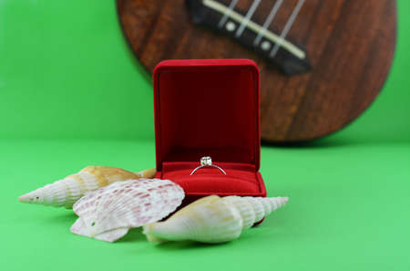 wedding rings in red caseの写真素材