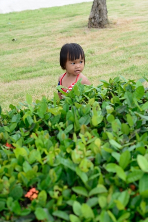 asian baby girl wear america bikiniの写真素材