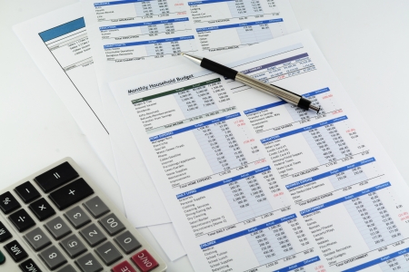 Monthly Household budget report
