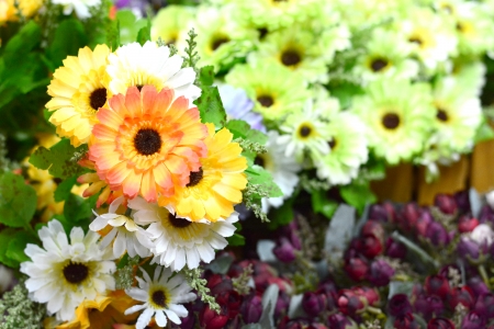 beautiful colors of plastic flowers の写真素材