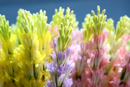 beautiful colors of plastic flowers の写真素材