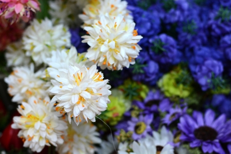 beautiful colors of plastic flowers の写真素材