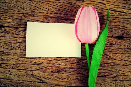 purple tulips and blank cardの写真素材