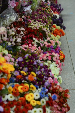 Various types of flowersの写真素材