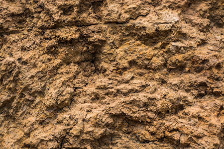 Soil background texture