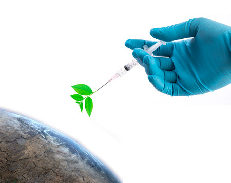 Hand in a blue glove holding syringe, inject plant to the world, safe the world concept,の写真素材