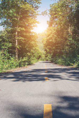 Country Road With Trees Beside in rural area. Nature and green.の写真素材