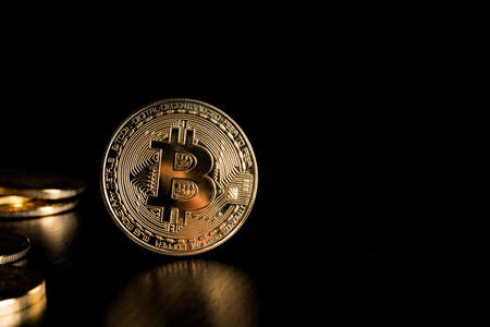 Golden Bitcoins, Electronic money concept