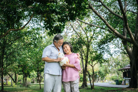 Happy senior couple in the parkの写真素材