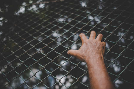 Hand with metal fence, feeling no freedomの写真素材