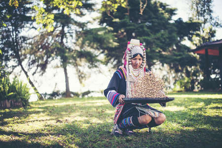 Akha using a winnowing basket separating arabica coffee from shell, Akha in the north of Thailand enjoying with job, Akha was separating coffee from shell by bamboo basket with traditional cloth.の写真素材