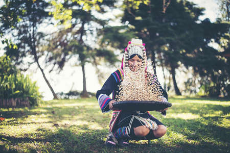 Akha using a winnowing basket separating arabica coffee from shell, Akha in the north of Thailand enjoying with job, Akha was separating coffee from shell by bamboo basket with traditional cloth.の写真素材