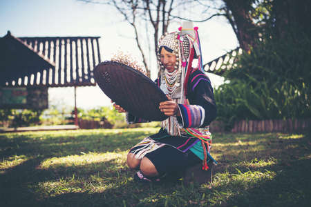 Akha using a winnowing basket separating arabica coffee from shell, Akha in the north of Thailand enjoying with job, Akha was separating coffee from shell by bamboo basket with traditional cloth.の写真素材