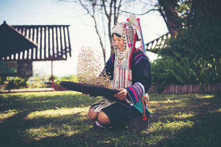 Akha using a winnowing basket separating arabica coffee from shell, Akha in the north of Thailand enjoying with job, Akha was separating coffee from shell by bamboo basket with traditional cloth.の写真素材
